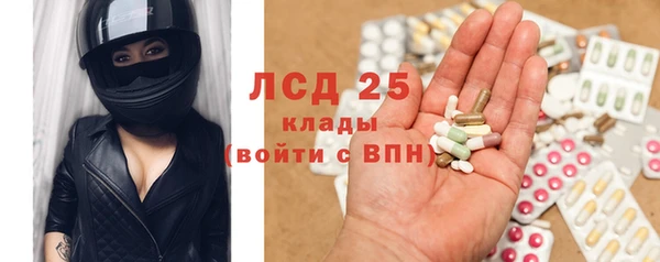 гидра Алексин
