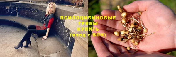 дмт Алексеевка